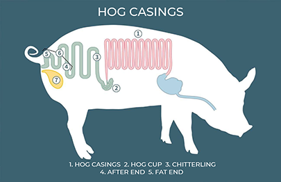 Hog Casings